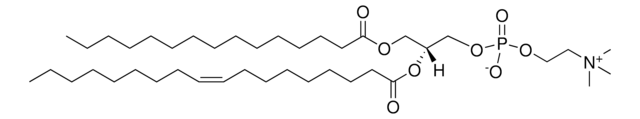 15:0-18:1 PC Avanti Polar Lipids