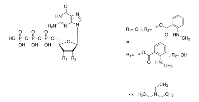 Mant-GTP triethylammonium salt solution &#8805;95.0% (HPLC)