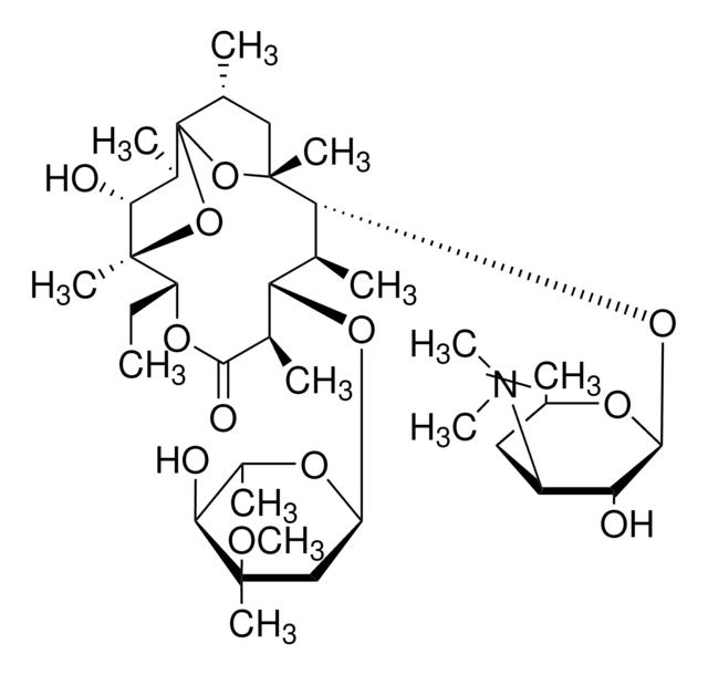 脱水红霉素 A analytical standard