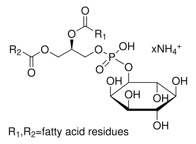 L-α-磷脂酰肌醇 铵盐 来源于大豆 10&#160;mg/mL in chloroform, &#8805;97.0%, solution