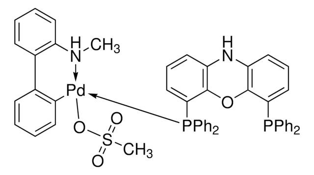 N-XantPhos Pd G4 95%