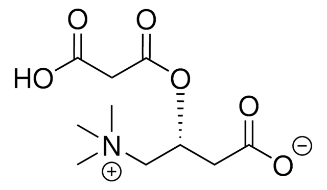 Malonyl-L-carnitine Avanti Research&#8482; - A Croda Brand