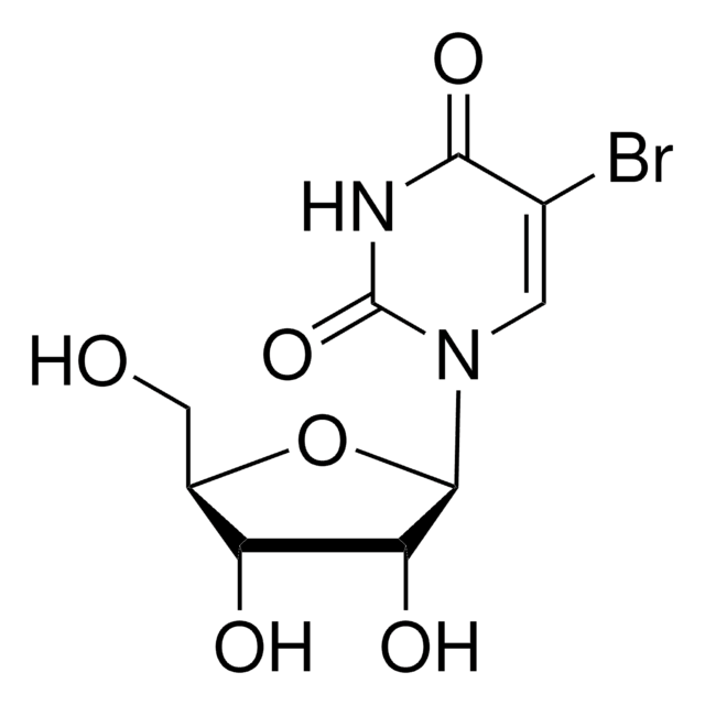 5-溴尿苷 98%