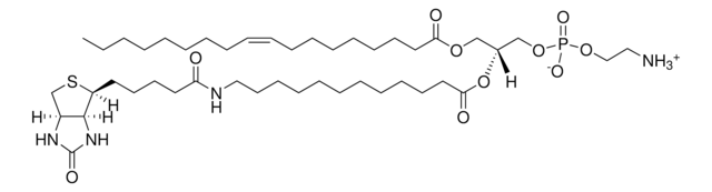 18:1-12:0 Biotin PE Avanti Polar Lipids 860562P, powder