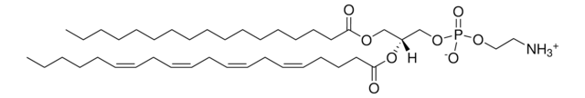 17:0-20:4 PE Avanti Polar Lipids LM1102, methanol solution