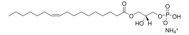 17:1 Lyso PA Avanti Polar Lipids LM1701, methanol solution