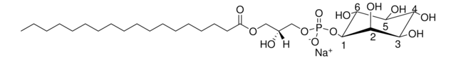 Liver Lyso PI Avanti Polar Lipids 850091P, powder