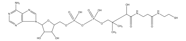 3'-去磷酸辅酶 A &#8805;90% (HPLC)