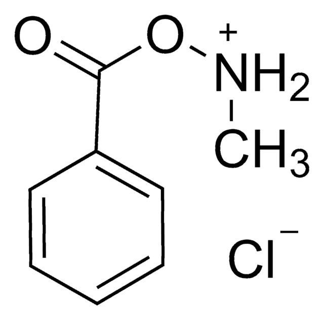 N-甲基-O-苯基羟胺盐酸盐 97%