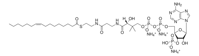 16:1 (n7) Coenzyme A Avanti Polar Lipids 870743P, powder