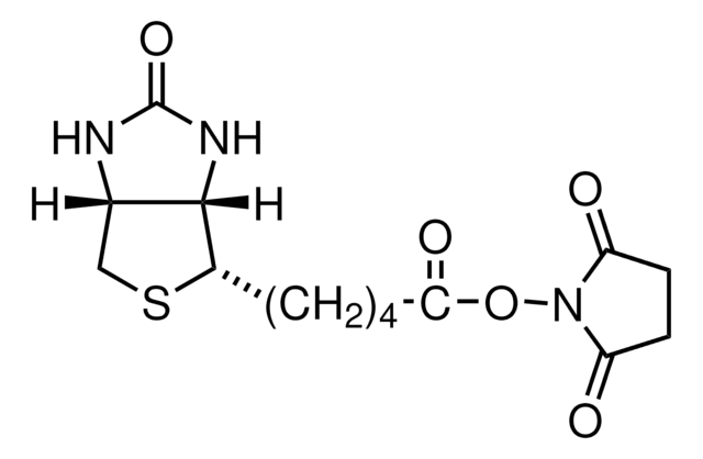 (+)-生物素N-羟基琥珀酰亚胺酯 &#8805;98% (HPLC), powder