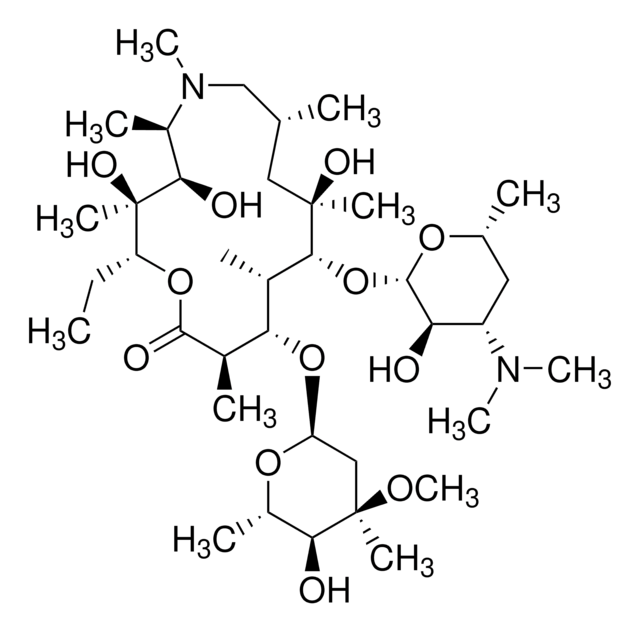 Azithromycin Identity United States Pharmacopeia (USP) Reference Standard