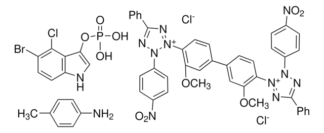 NBT-BCIP&#174; 溶液 BioReagent