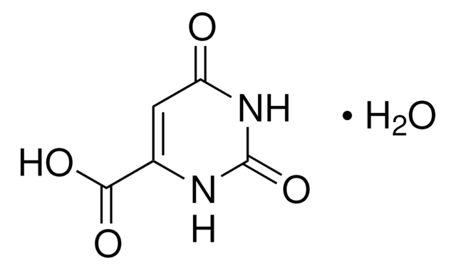 乳清酸 一水合物 97%