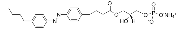 Azo Lyso PA powder, Avanti Polar Lipids