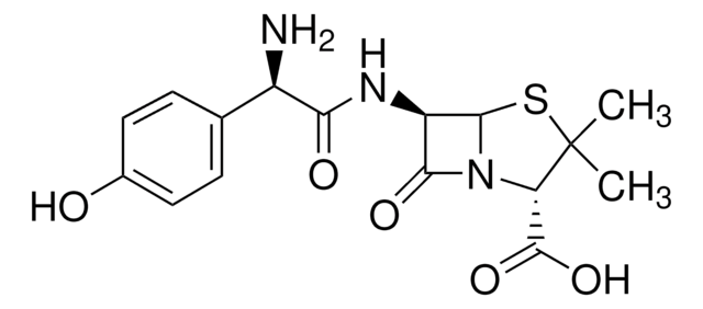 阿莫西林 95.0-102.0% anhydrous basis