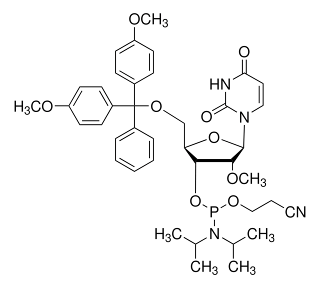 DMT-2&#8242;O-Methyl-rU Phosphoramidite