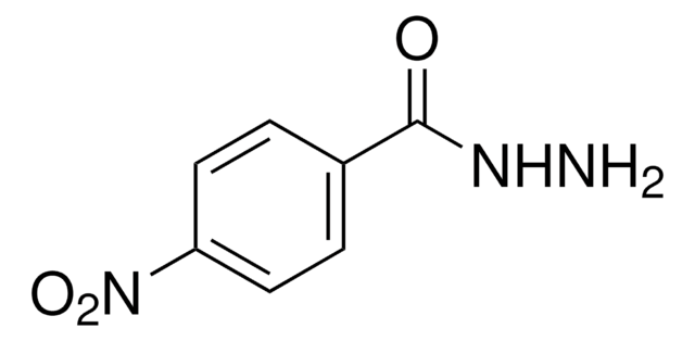 4-硝基苯酰肼 98%