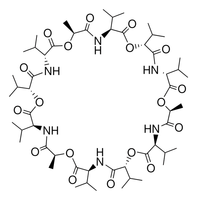 缬氨霉素 Ready Made Solution, ~1&#160;mg/mL in DMSO