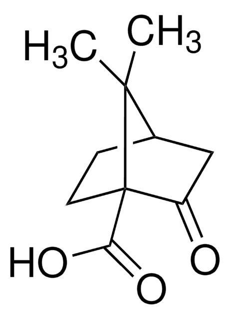 (1S)-(+)-酮基蒎酸 99%