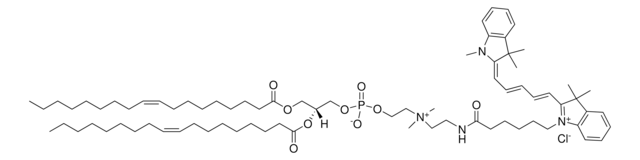 18:1 Cy5 PC Avanti Research&#8482; - A Croda Brand