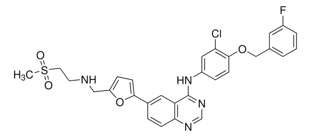 拉帕替尼 &#8805;98% (HPLC)