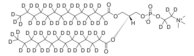 14:0 PC-d58 Avanti Research&#8482; - A Croda Brand, powder