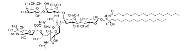 Ganglioside GD1b powder, Avanti Research&#8482; - A Croda Brand (60056P)