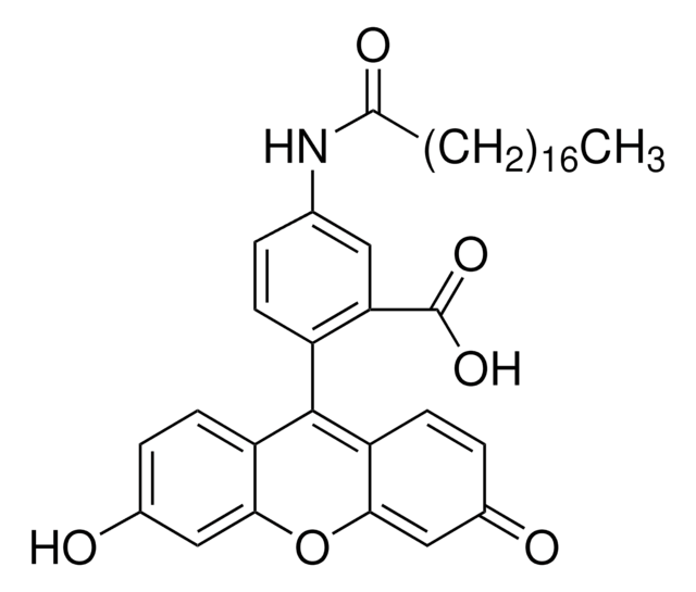 5-(Octadecanoylamino)fluorescein