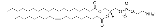 Brain PE Avanti Polar Lipids 840022P, powder