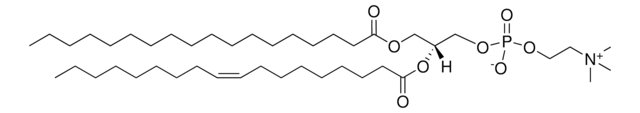 18:0-18:1 PC Avanti Polar Lipids