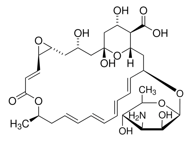 Pimaricin, Streptomyces chattanoogensis