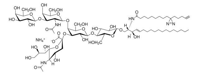 PhotoClick GM1 (synthetic) Avanti Polar Lipids