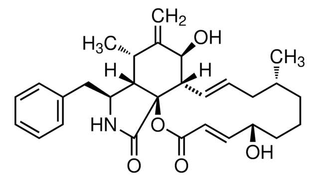 细胞松弛素B 来源于Drechslera dematioidea Ready Made Solution, 10&#160;mg/mL in DMSO