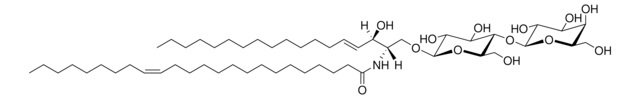 C24:1 Lactosyl(&#946;) Ceramide (d18:1/24:1) Avanti Polar Lipids 860597P, powder