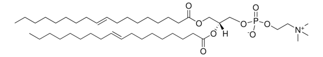 18:1 (&#916;9-Trans) PC 1,2-dielaidoyl-sn-glycero-3-phosphocholine, powder