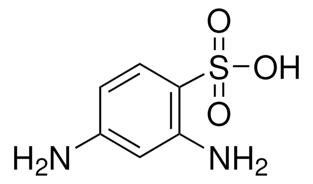 2,4-二氨基苯磺酸 &#8805;98.0% (T)