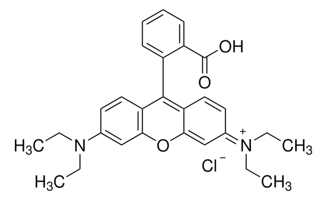 罗丹明B for fluorescence