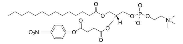 14:0 NPS PC 1-myristoyl-2-(4-nitrophenylsuccinyl)-sn-glycero-3-phosphocholine, powder