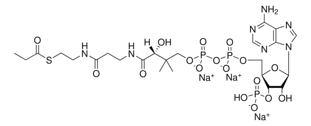 03:0 Coenzyme A Avanti Polar Lipids 870703P, powder