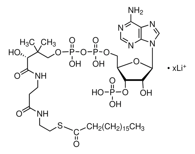 硬脂酰辅酶 A 锂盐 &#8805;90%