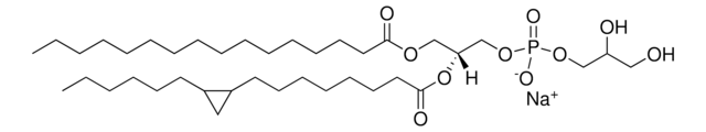 E. coli PG Avanti Polar Lipids 841188P, powder