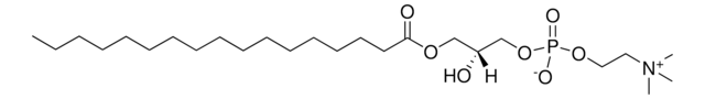 17:0 Lyso PC Avanti Research&#8482; - A Croda Brand