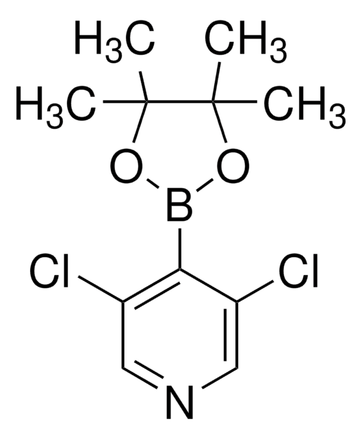 3,5-二氯-4-吡啶硼酸频哪醇酯 97%