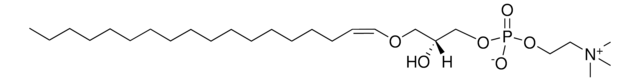 C18(Plasm) LPC 1-O-1&#8242;-(Z)-octadecenyl-2-hydroxy-sn-glycero-3-phosphocholine, powder