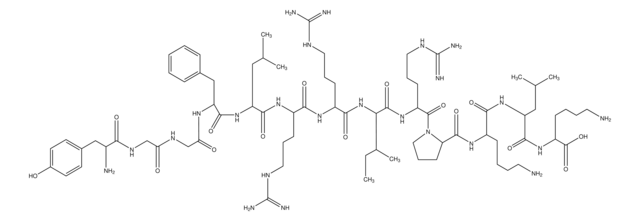 Dynorphin A Porcine Fragment 1-13 &#8805;97% (HPLC)