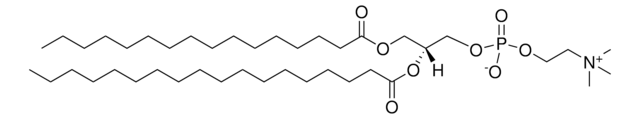 氢化磷脂酰胆碱 Avanti Research&#8482; - A Croda Brand