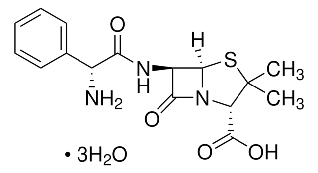 Ampicillin trihydrate 900-1050 &#956;g/mg anhydrous basis (HPLC)