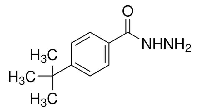 4-tert-Butylbenzoic hydrazide 97%