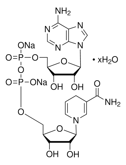 &#946;-Nicotinamide adenine dinucleotide, reduced disodium salt hydrate ~98%, pkg of 100&#160;mg